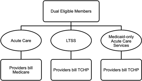 Dual Eligible Members