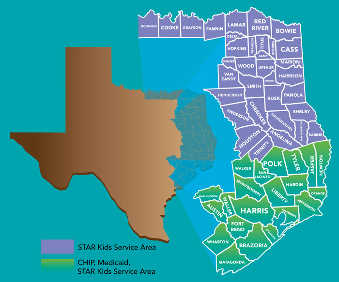 Texas Chip Eligibility Income Chart 2019